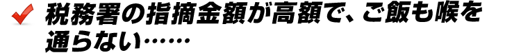 税務署の指摘金額が高額で、ご飯も喉を通らない……