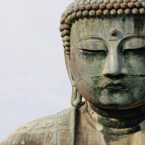 大仏みたいな人（事務員日記）