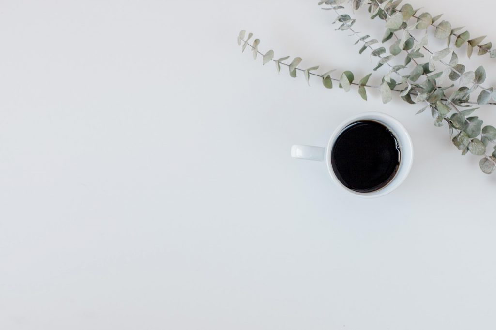 青色申告と白色申告、税務調査で何が違う？