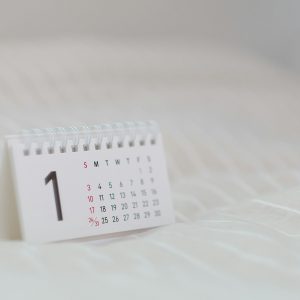 年間でいつ来る？税務調査と税理士のサポート内容